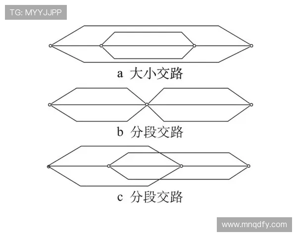 乒乓球男子与女子竞技差异探讨及其对运动发展的影响分析