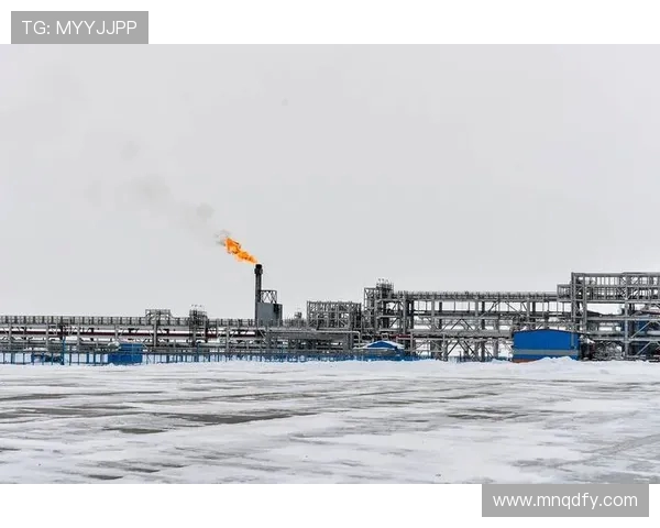 亚马尔地区的能源战略与全球气候变化的应对之道探讨