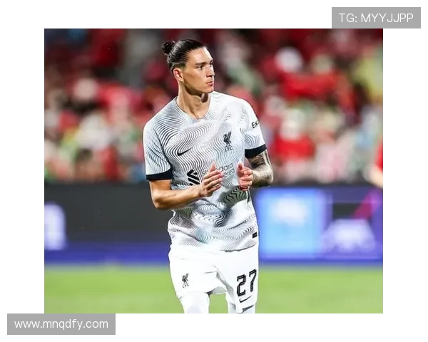 努涅斯在赛场上的崛起与挑战解析，如何成为足球界的新星