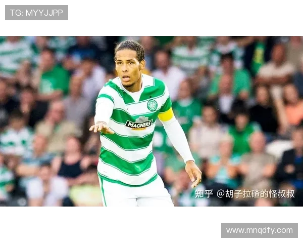 范戴克：从默默无闻到足坛巨星的辉煌历程与心路历程解析