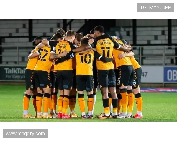 芬超与丹超实力对比分析揭示北欧足球的竞争格局与发展潜力