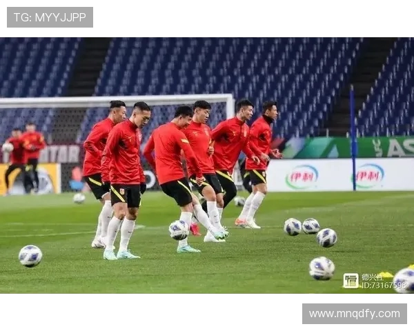 阿联酋与泰国激战正酣比赛结果揭晓引发热议