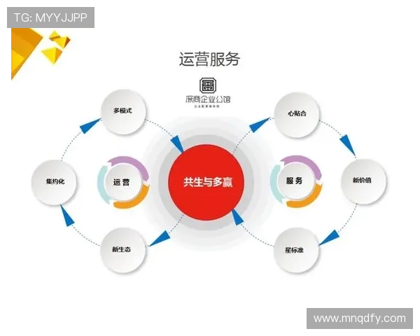 深圳排球队的节奏解析：深度探讨排球战术与团队协作的奥秘