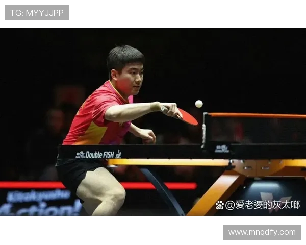 南京乒乓球队总决赛背后的拼搏故事与荣耀时刻