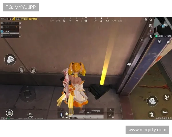 对话黄芳：探索和平精英职业生涯的成长与挑战