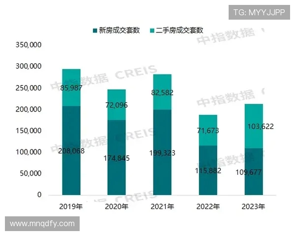 武汉极限运动队节奏对比深度解析与发展趋势探讨